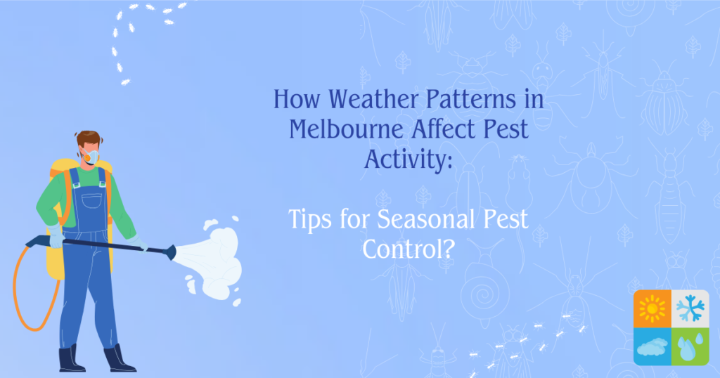 How Weather Patterns in Melbourne Affect Pest Activity Tips for Seasonal Pest Control