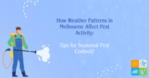 How Weather Patterns in Melbourne Affect Pest Activity Tips for Seasonal Pest Control