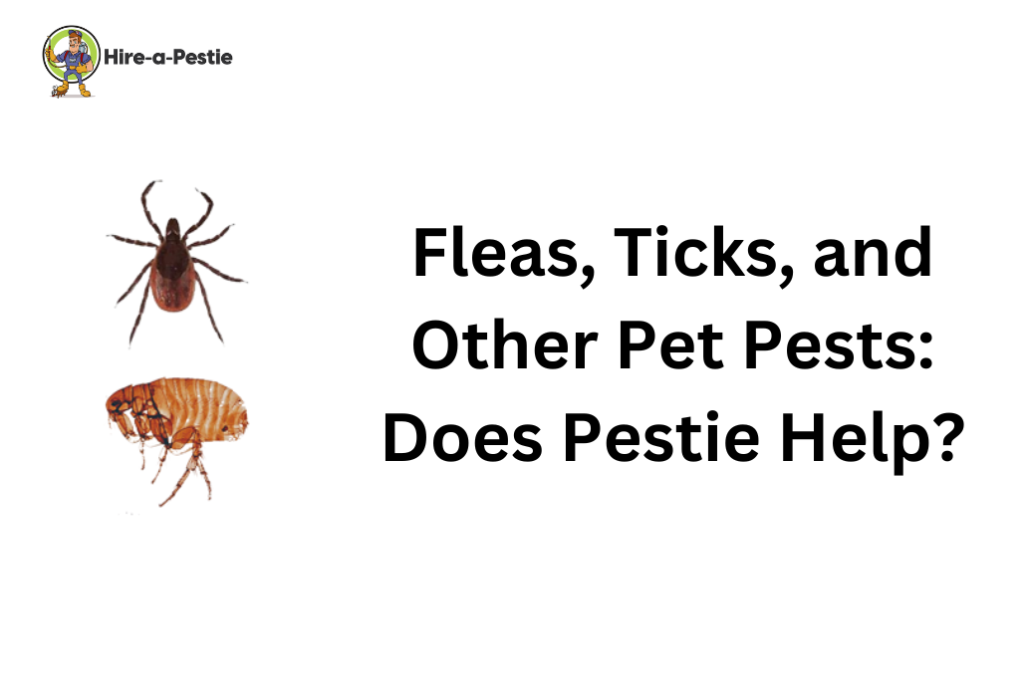 fleas