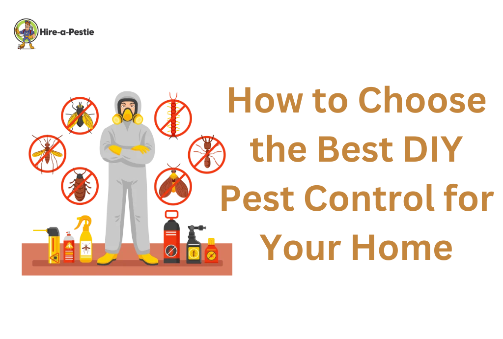 Best DIY Pest Control