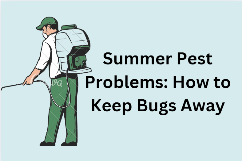 Summer Pest Problems